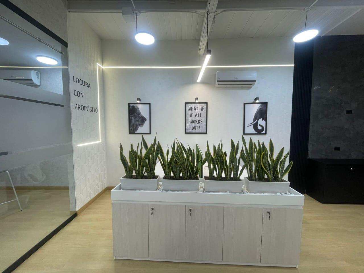 Señalética corporativa y vinilos para oficina en Quito - Ilustrarte EC